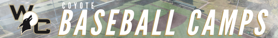Baseball camps