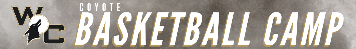 Basketball Camps