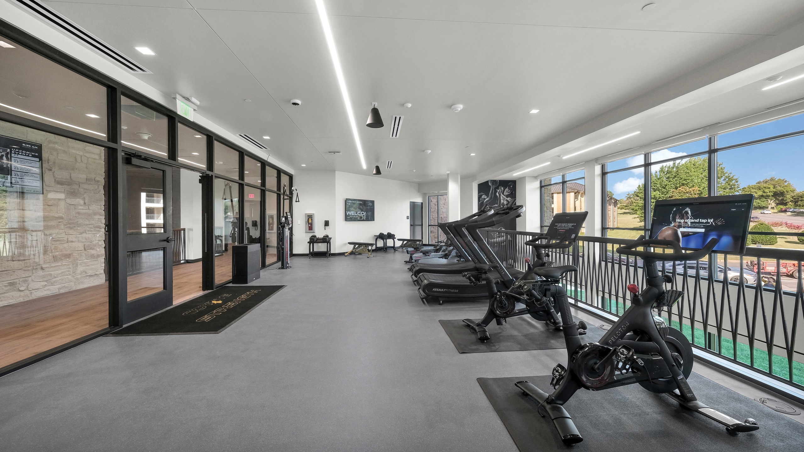 stationary bikes and ergs