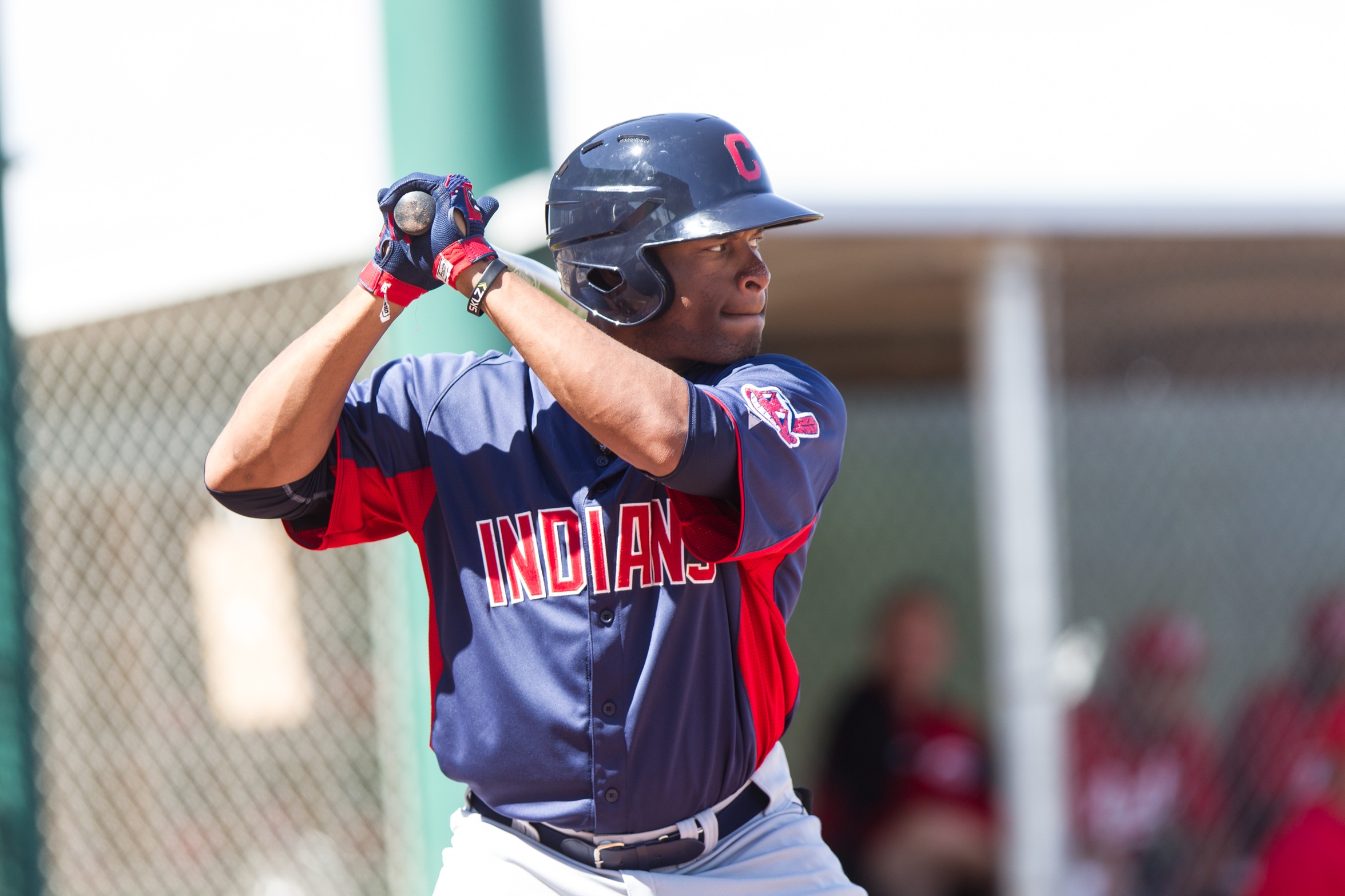 Bryson Myles: Cleveland Indians organization